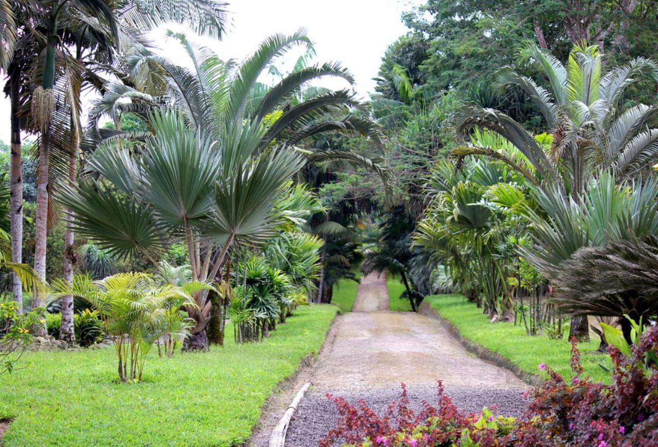 Bnb Tropical Island Aparthotel - Corales Del Sur - Santo Domingo Este Eksteriør bilde